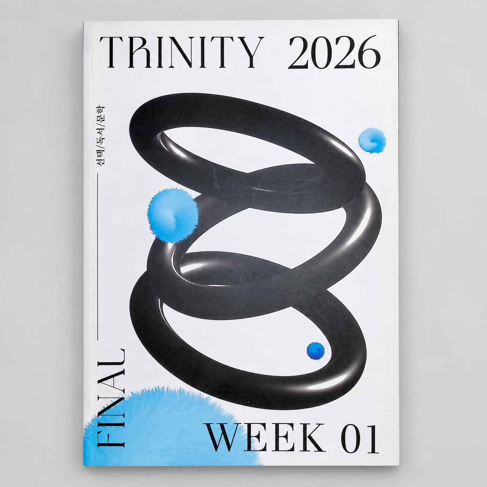 2026 시대인재 TRINITY 파이널  선택/독서/문학 윤지환T 표지