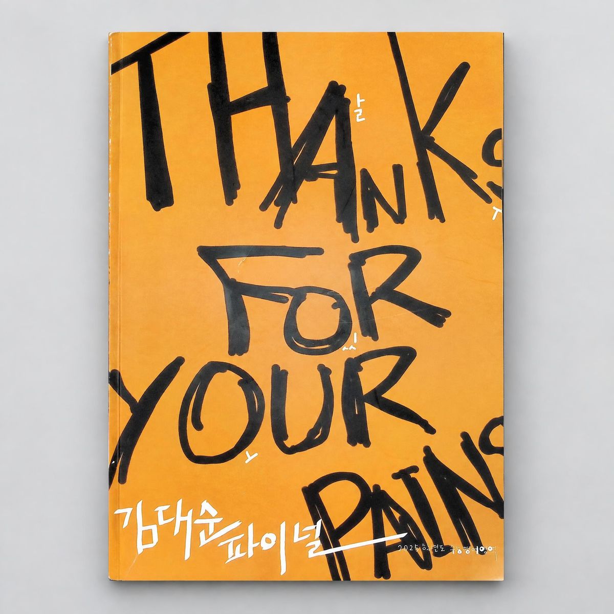 2025 강남대성 김대순 파이널 Thanks for your pains 영어 김대순T 표지